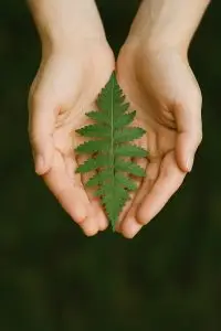 hand holding leaf showing gentlenes, care, love, trust and respect